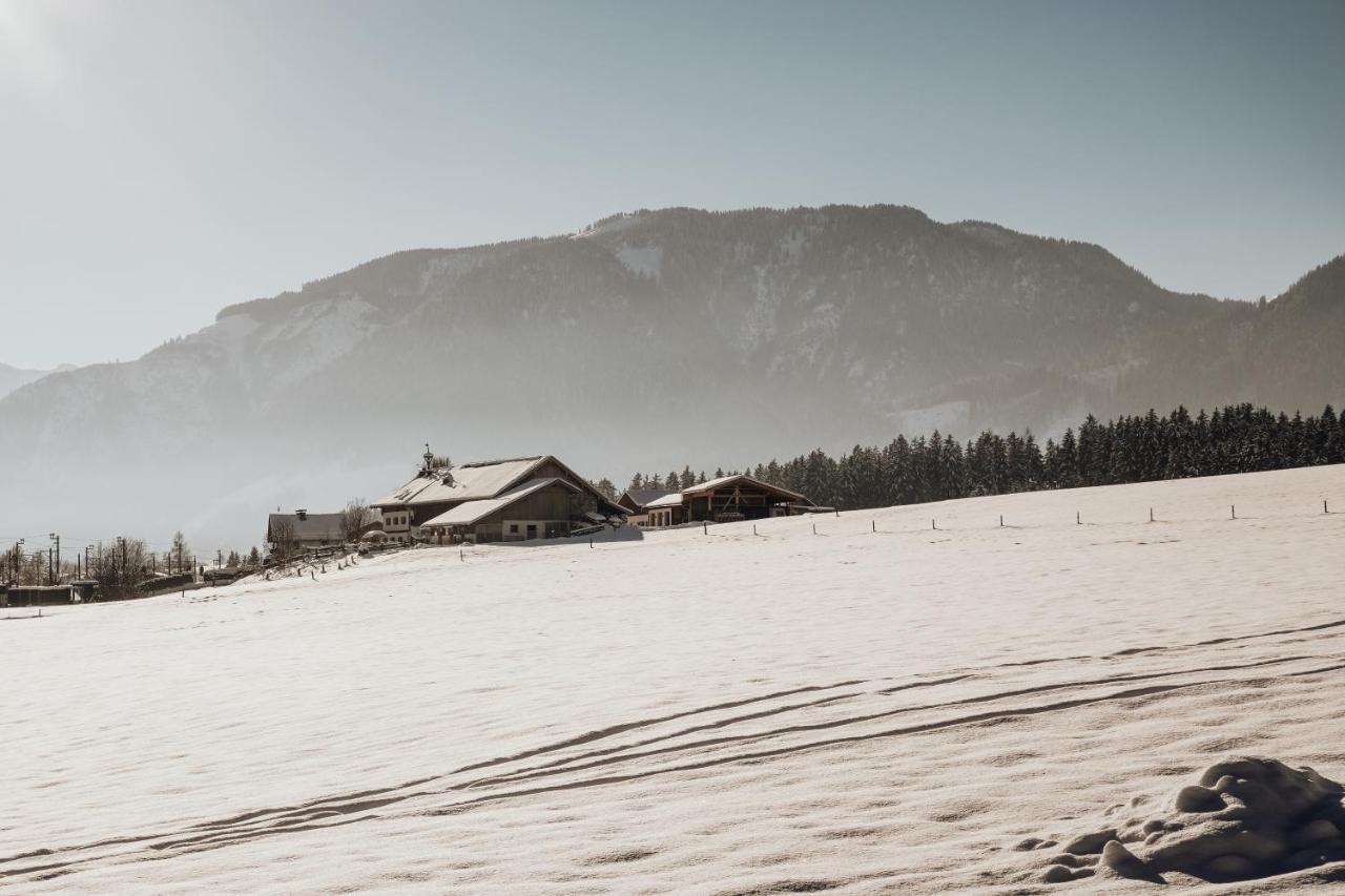 Apartmán Bergblick Saalfelden Exteriér fotografie