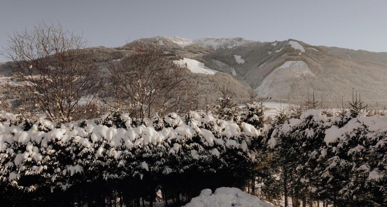 Apartmán Bergblick Saalfelden Exteriér fotografie