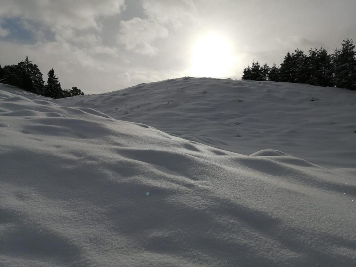 Apartmán Bergblick Saalfelden Exteriér fotografie