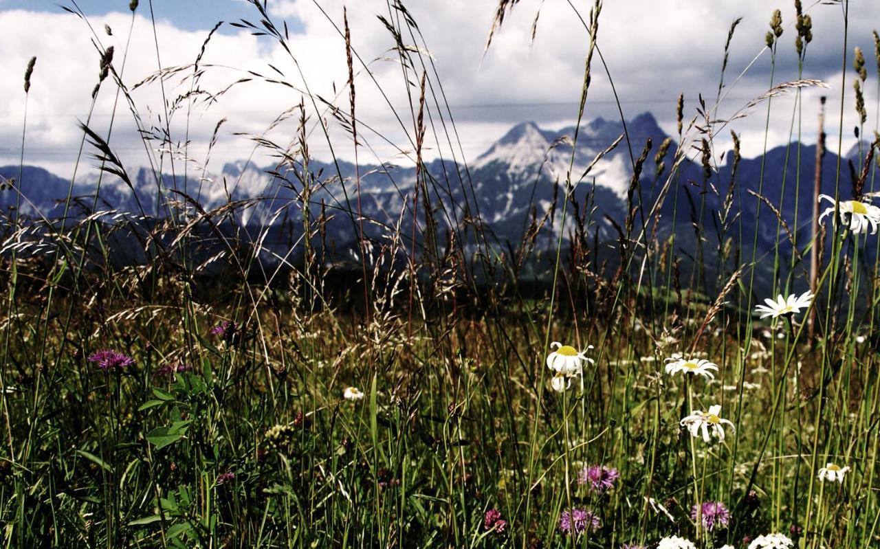 Apartmán Bergblick Saalfelden Exteriér fotografie
