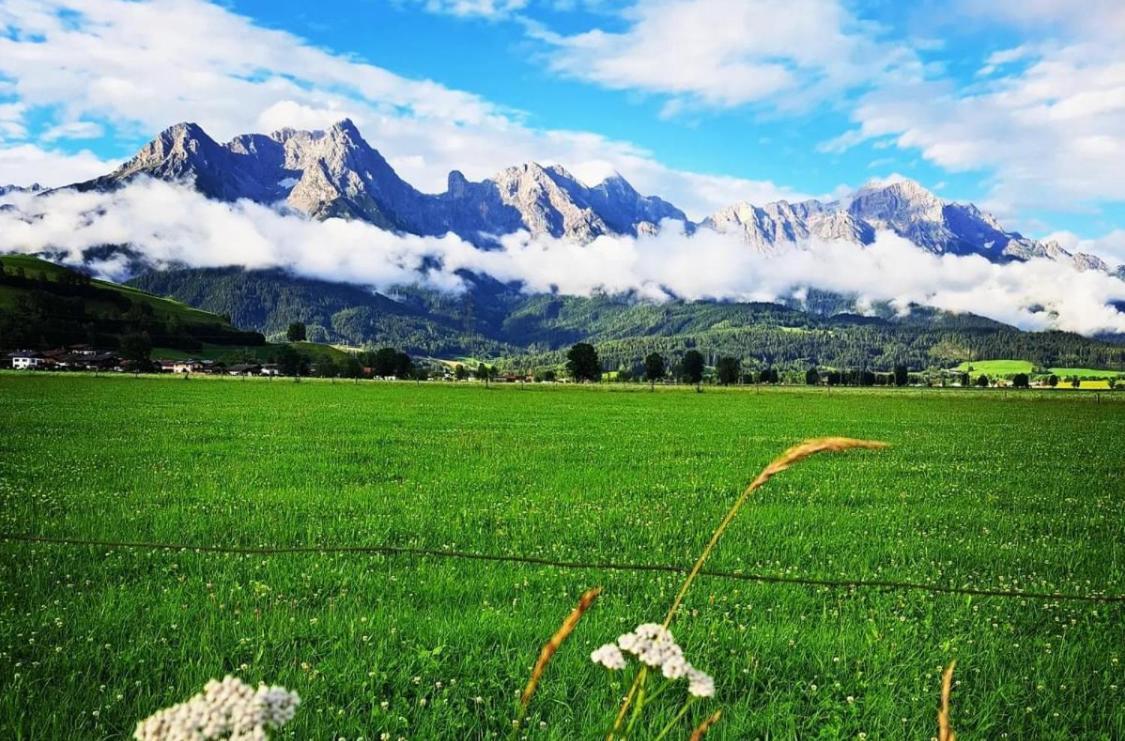Apartmán Bergblick Saalfelden Exteriér fotografie